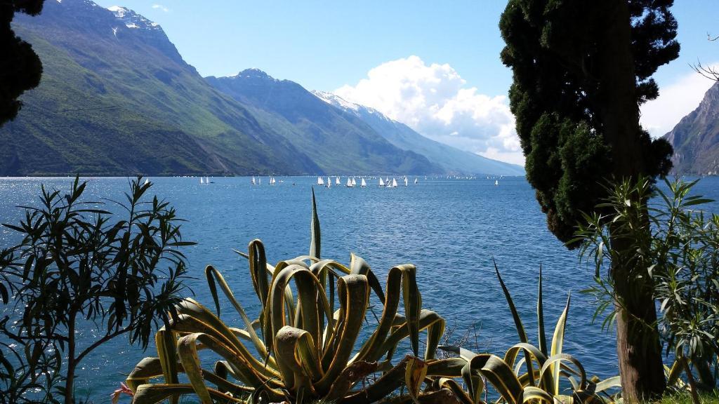 Hotel Angelini Torbole Sul Garda Buitenkant foto